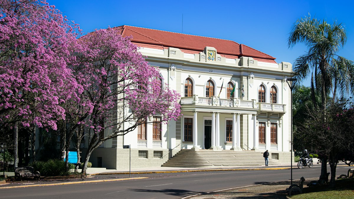 Prédio público branco de dois andares ao lado de um ipê florido com flores roxas