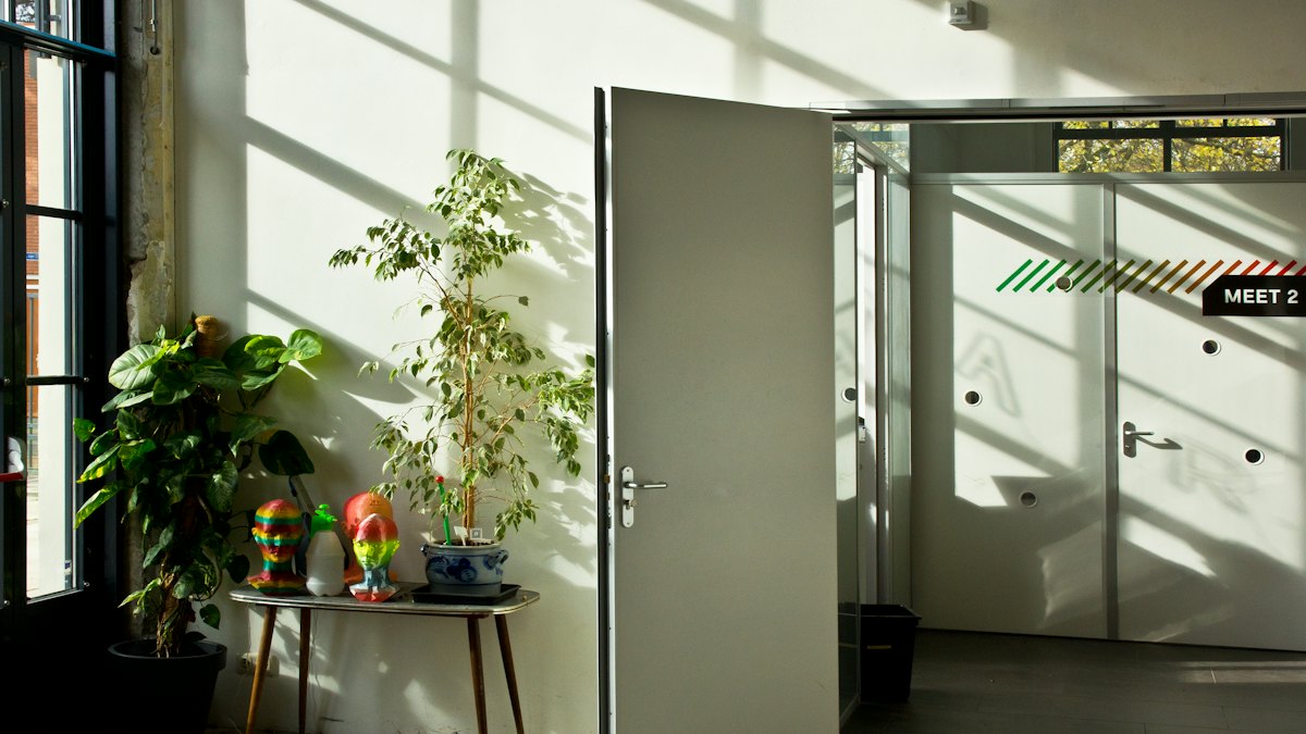Porta branca aberta em sala clara com plantas e luz entrando pela janela